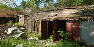 �� ���� ������ �������� ����� ����� 50 ����������� ������� � ��������