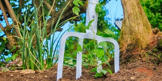 ��������� ������� �� ������ ������ ��������� ��������