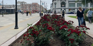 ��������� ����� � ������ �� ������� ������ 56 ������ ���