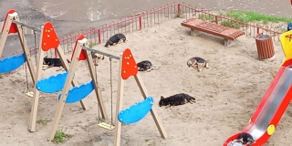 �� ������� �������� � ��������� ������ ������ �������� �������