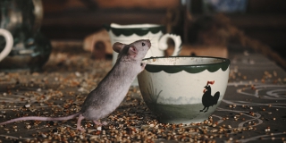 � ����������� ������� ���������������� 34 ������ ������� ���������