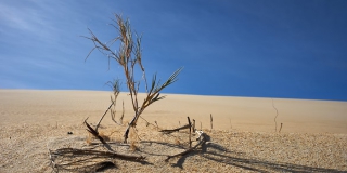 � ��� ������������ ���������� � ���� �� +38 ��������