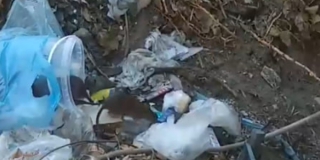 �� ����-������������ � ���� ������ ���������� ������� ����