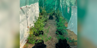 � ������� � ������ ���������� ������ ���������� ����� �������