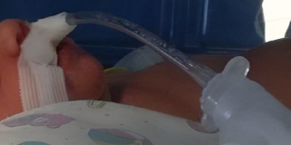 ���������� ��������� �� �������� � ������� ������ � �������� ��������������