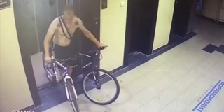 � �������� �������������� ����������� ��������� �� ����� �����������