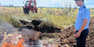 � ��������� ������ ������ 8 ����� ����� ��������� �������