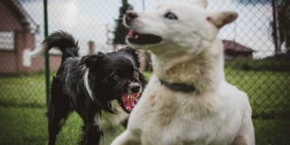 � ��������� ������ �� ���� ������� �������� ������ ��������� ��������