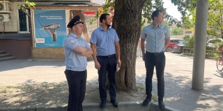 ������ ���������� ������� �������� �� ����������� ��������������� � ��������