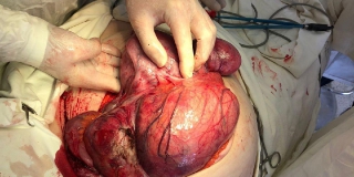 � �������� ������ �������������� ������� � �������� ����� ����� ����� 8 ��