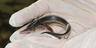 ����� ���� ��������� � ����� ��������� ����� 10 ����� ������� ��������