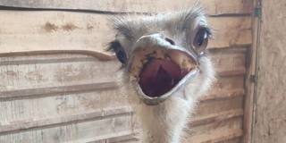 � ������������ ������ ���������� ������� �������� � ����� �������