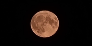 ��������� ���������� �������� ����������