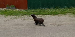 ��������� �������� ��������������� �� ����� �������� ������