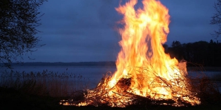 В Саратовской области оштрафовали 15 разжигателей костров в лесу В Саратовской области оштрафовали 15 разжигателей костров в лесу