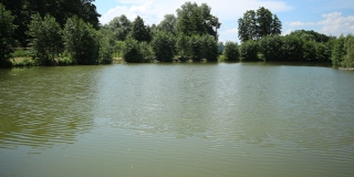 ����������� ���������� ������� ��������������� �� ���� �������� � �����