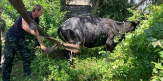 � ������ ��������� ������� �� 2-��������� ������� ������