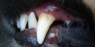 � �������� �������� ������ �������� ��������� 4 � 14 ���