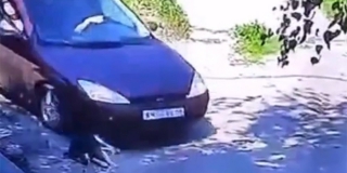 � �������� ����� �������� ���. ����������� ���������� ��������� ������