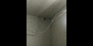 �� ��������� ������ ������� ������������ ������� 10-�������� ����