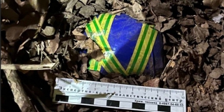 � ������ ����������� ������������� �������� ������ ����������