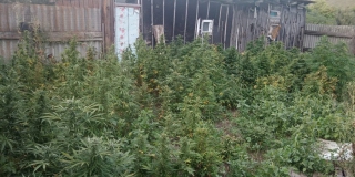 � ����������� ������ � ������� ������ � ������� 94 ����� �������