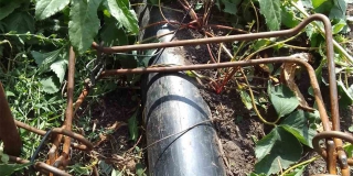 ��������� �������� �� ������� ������ � ���� �� ������ �� ������