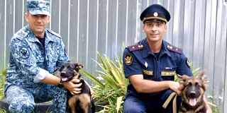 ����� ������� �� ������������ ��������� ���� �������� ������� � ���