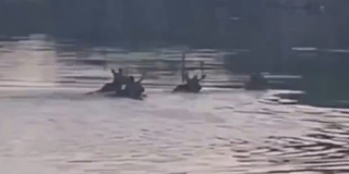 � ��������� ������ �������� �������� � ����� ������� �����