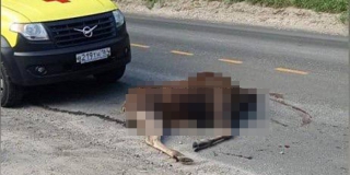 � ������� ������� ����� ������������� ������ ����