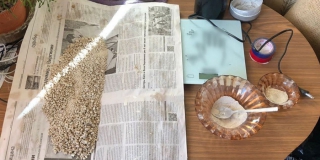 �� ���������� ��������� 52-������ ������� �� 100 ��������� �������