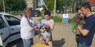 � �������� ���������� ������ ���������� ���������� ����� � ����� �� ���������