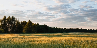 ��� ������� ��������� �������� ��������� 271 �� ����� ������ � ����������������