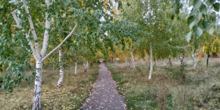 � ��������� �������� �������� ��-�� ��������������������� ����� �������