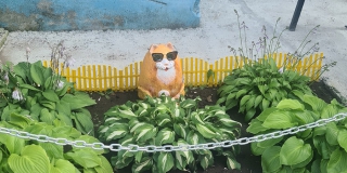 В Балакове у скульптуры кота 4-й раз украли солнечные очки
