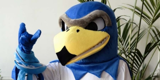 � ����������� ����� ������ �������� ����� �������� ������