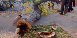 �� ������ �������� ������� ������ ��������� � �����