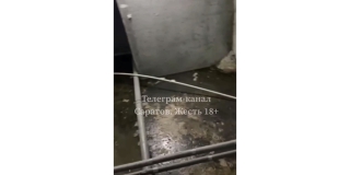 ��������� �������� ������� ���������� � �������� � ���� �� ��������