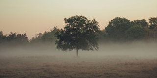 � ����������� ������� ������������ ����� � ��������� �����