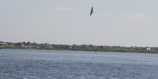 ���� ����� �������� �� ����� ���� �������� �� ������� �������� � �����