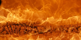 � ����������� ������ ������� 25-�������� ���� ������������ ��-�� ������