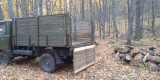 В Вязовке поймали незаконных лесорубов. Ущерб оценили в 266 тысяч