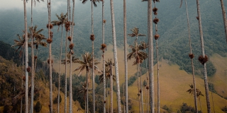 ��������� �� �������� ���� ����� ������ � ��������