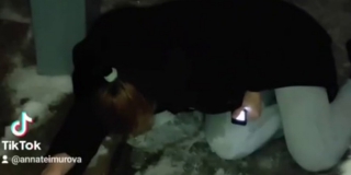 � �������� ������ ���� �������� � �����. �� 2-������ ���� ������ �����������