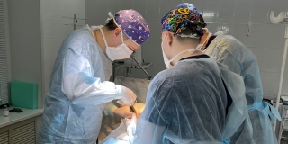Саратовские врачи прооперировали беременную пациентку с камнем в желчном пузыре