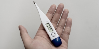 �������� �������������� ����� �� ������ ������-�����. ������ 12-������ �������