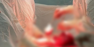 � ������������ ���������� ����� ��� ������������: �� ������� ������ ��������