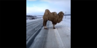 ��� �������� ���� �������� �� ����������� ������ ����������� �������