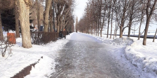 В Саратовской области выходные пройдут с гололедицей и без снегопадов 