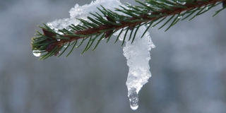 В Саратовской области прогнозируют отсутствие снегопада и аномальное тепло до +2